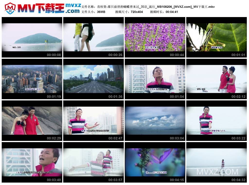 青桂贤-那只前世的蝴蝶曾来过_国语_流行_MB108206